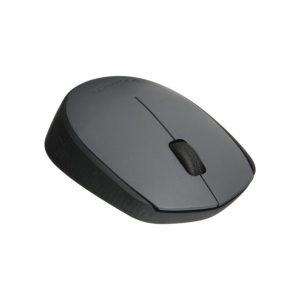 Logitech M171 Wireless Optical Mouse